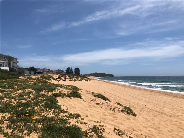 Narrabeen & North Narrabeen (20/11/2020 - Credits: Shannon Wheeler)