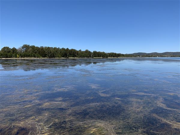 Watkins Jetty Long Jetty (10/10/2020 - Credits: Screen NSW Mechele Axford)