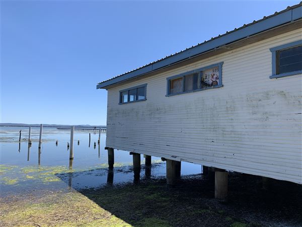 Watkins Jetty Long Jetty (10/10/2020 - Credits: Screen NSW Mechele Axford)