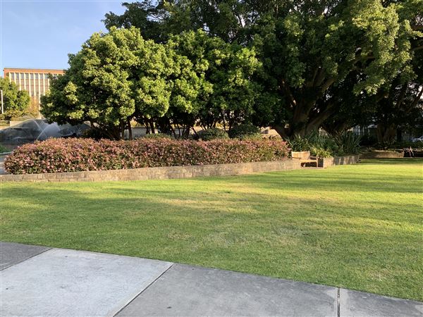 Civic Park Newcastle (5/09/2020 - Credits: Mechele Axford Screen NSW)