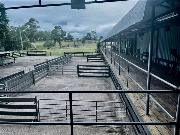 Tobruk Sheep Station - Shearing Shed & Event Venue - These photos were taken at the end of summer however, it was an unusually overcast yet bright day. (23/02/2021 - Credits: Cheryl Conway)