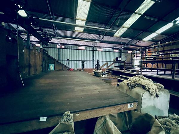 Tobruk Sheep Station - Shearing Shed & Event Venue - These photos were taken at the end of summer however, it was an unusually overcast yet bright day. (23/02/2021 - Credits: Cheryl Conway)