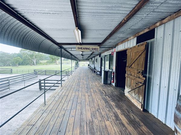 Tobruk Sheep Station - Shearing Shed & Event Venue - These photos were taken at the end of summer however, it was an unusually overcast yet bright day. (23/02/2021 - Credits: Cheryl Conway)