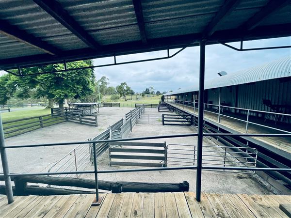 Tobruk Sheep Station - Shearing Shed & Event Venue - These photos were taken at the end of summer however, it was an unusually overcast yet bright day. (23/02/2021 - Credits: Cheryl Conway)