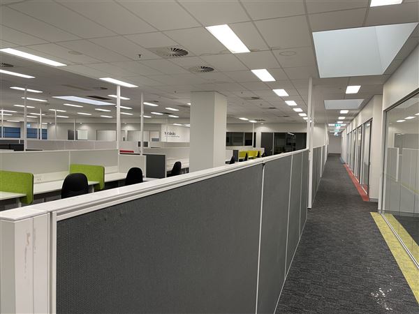 Open Plan Office space Lidcombe (networked) -  Short term leases available up until end of 2022 (8/03/2021 - Credits: Screen NSW Mechele Axford)
