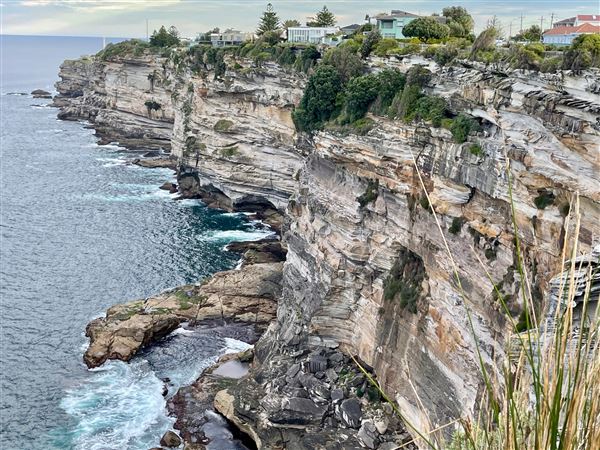 Dover Heights - Coastline @ Raleigh & Rodney Reserves - Late afternoon. (15/04/2021 - Credits: Cheryl Conway)