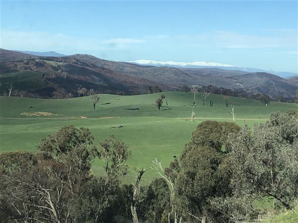 Private Property - Tumbarumba, NSW (1/06/2020 - Credits: Derek Smith)