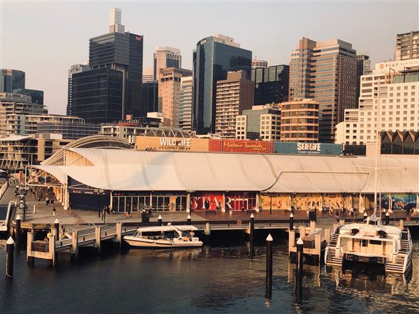Darling Harbour (3/11/2019 - Credits: Cheryl Conway)