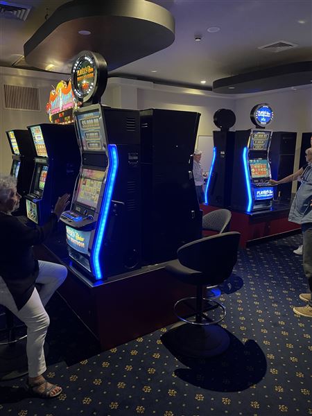 Polish Club Bankstown (21/01/2022 - Credits: Michael Lubieniecki)