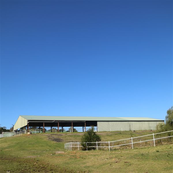 Darkes Forest Ranch (17/11/2022)