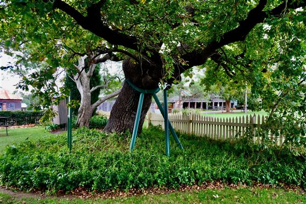 Belgenny Farm (12/04/2023 - Credits: Screen NSW)