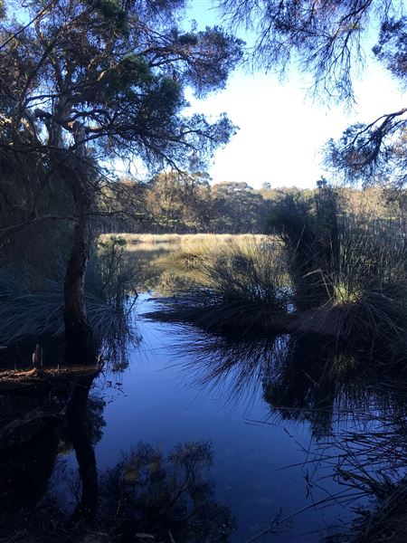 Glenbrook Lagoon (24/05/2023 - Credits: BMCC)
