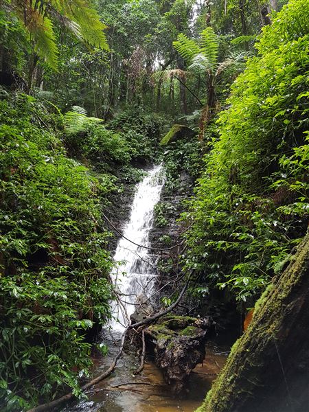 Mt Hay Retreat (7/07/2016 - Credits: Mt Hay Retreat)