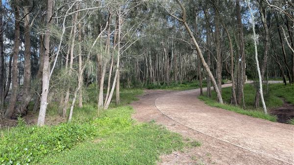 Bilarong Reserve (6/12/2021 - Credits: Shannon Wheeler)
