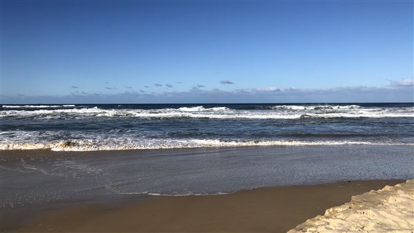 Nambucca Heads Swimming Creek (9/10/2020 - Credits: Shannon Wheeler)