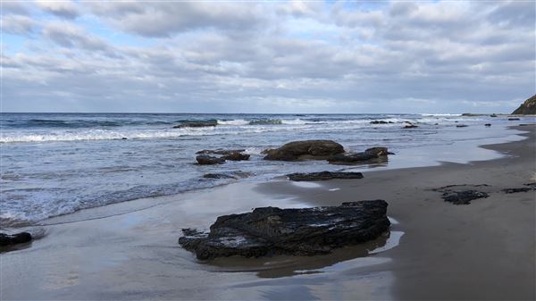 Nambucca Heads (14/07/2020 - Credits: Shannon Wheeler)