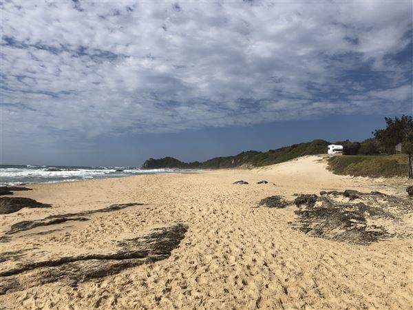 Nambucca Heads (9/10/2020 - Credits: Shannon Wheeler)
