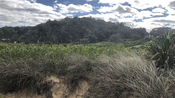 Nambucca Heads (9/10/2020 - Credits: Shannon Wheeler)