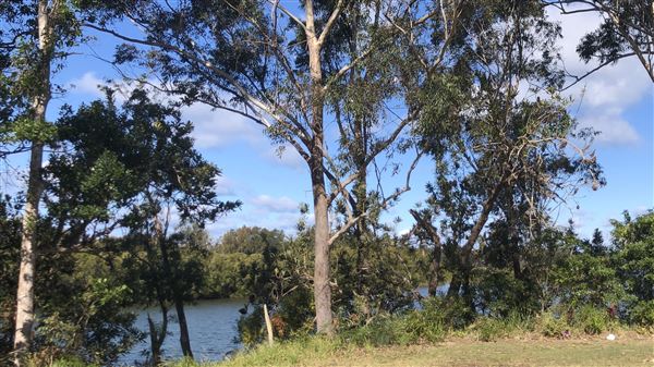 Nambucca Heads (9/10/2020 - Credits: Shannon Wheeler)
