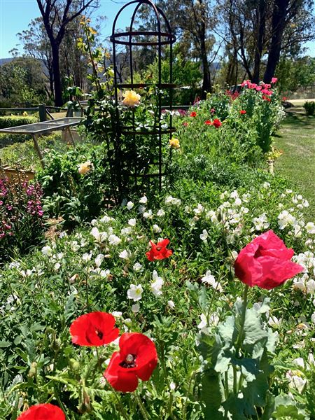 Hartvale Gardens and Cottage (30/10/2023 - Credits: Jennifer Edwards)