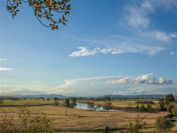 Morpeth Farmland (17/06/2021 - Credits: Maitland City Council)