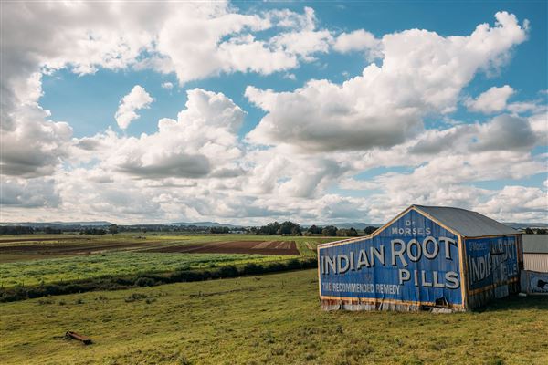 Indian Root Pills Tin Shed (28/10/2021 - Credits: Maitland City Council)