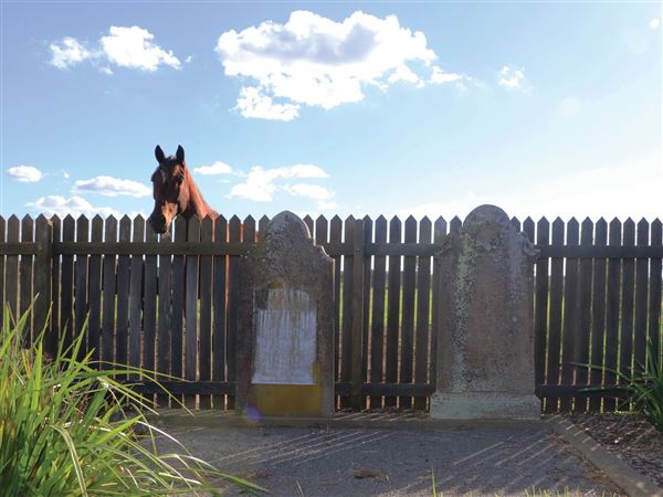 Maitland Jewish Cemetery (15/05/2019 - Credits: Maitland City Council)