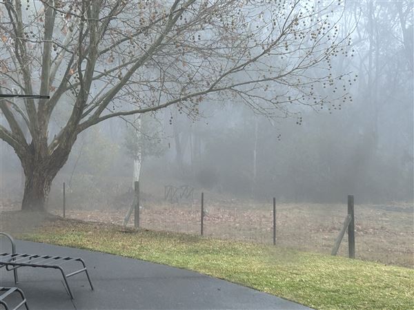 Winbourne Estate Country Bed and Breakfast (27/05/2024 - Credits: submitted by: Nicole Milatos-Hayter)