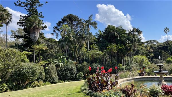 Vaucluse House (27/03/2024 - Credits: Shannon Wheeler)
