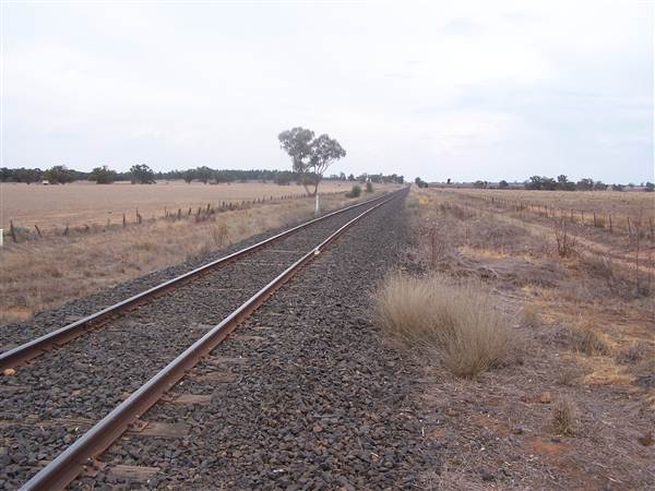 Dubbo (surrounds) (25/02/2013 10:03:11 AM)