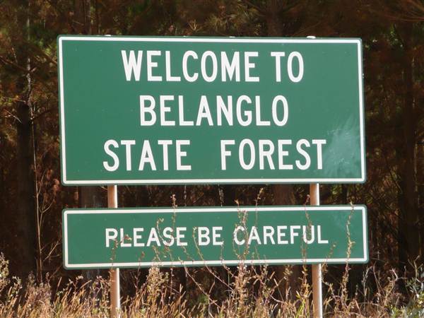 Belanglo State Forest (25/02/2013 3:33:03 PM)