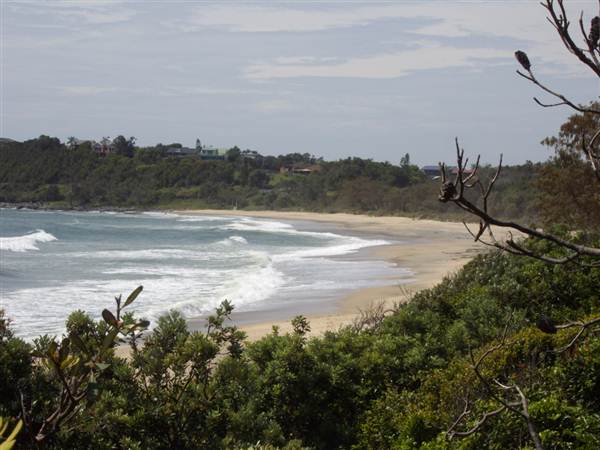Arrawarra (25/02/2013 10:59:58 PM)