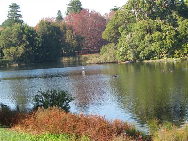 Centennial Park (27/02/2013 10:46:41 AM)