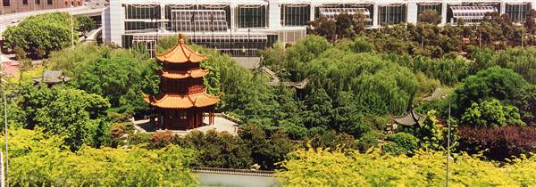 Chinese Garden of Friendship - Darling Harbour (27/02/2013 1:30:11 PM)