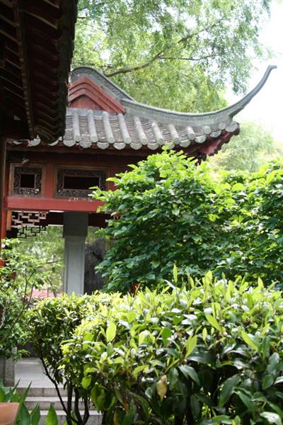 Chinese Garden of Friendship - Darling Harbour (27/02/2013 1:32:22 PM)