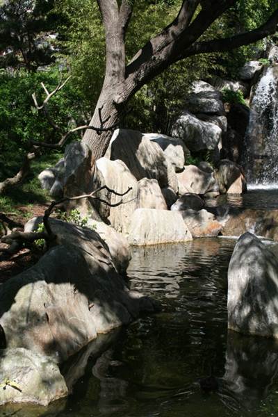 Chinese Garden of Friendship - Darling Harbour (27/02/2013 1:33:57 PM)