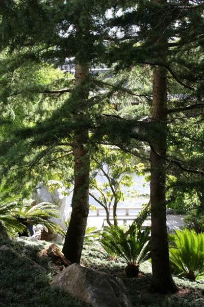 Chinese Garden of Friendship - Darling Harbour (27/02/2013 1:35:54 PM)