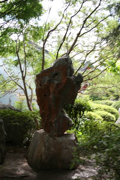 Chinese Garden of Friendship - Darling Harbour (27/02/2013 1:37:03 PM)