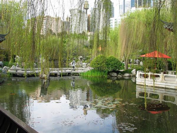 Chinese Garden of Friendship - Darling Harbour (27/02/2013 1:37:42 PM)