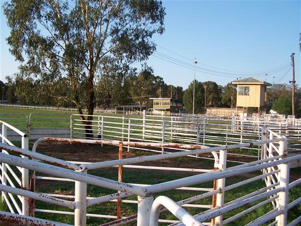 Coonabarabran Showground (27/02/2013 1:39:02 PM)