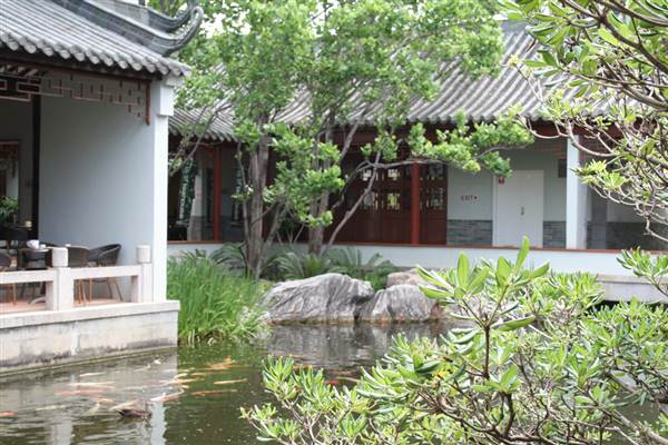 Chinese Garden of Friendship - Darling Harbour (27/02/2013 1:40:23 PM)