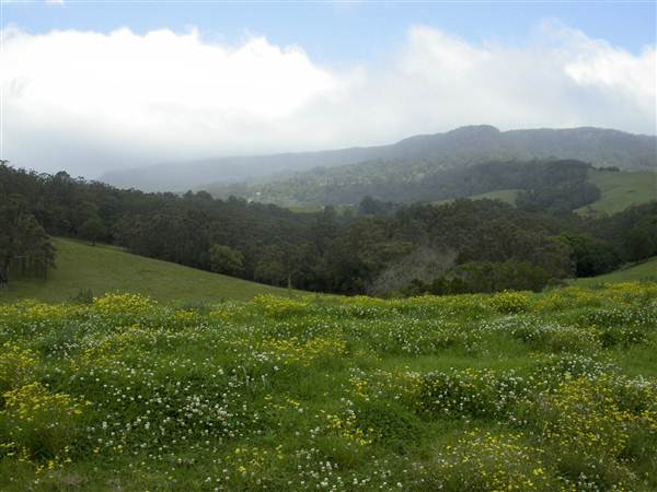 Jamberoo Farm (27/02/2013 2:34:31 PM)