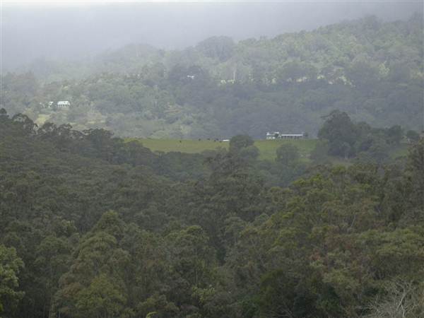 Jamberoo Farm (27/02/2013 2:36:14 PM)