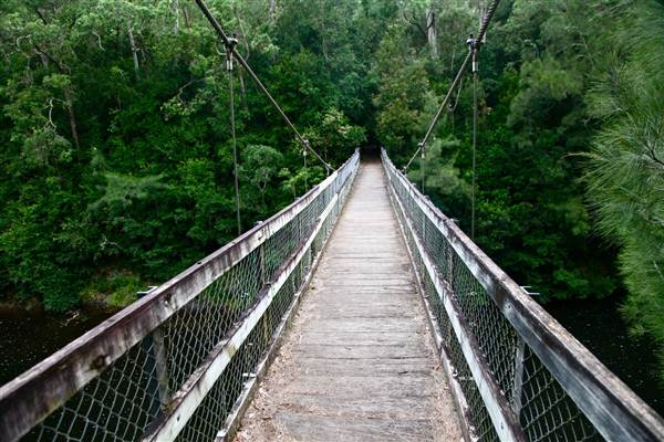Kangaroo Valley River Suspension Bridge (27/02/2013 4:20:46 PM)