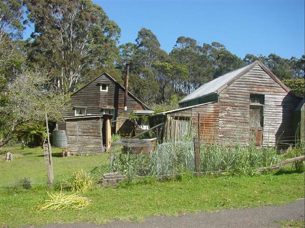 Davidson Whaling Station (27/02/2013 4:47:57 PM)