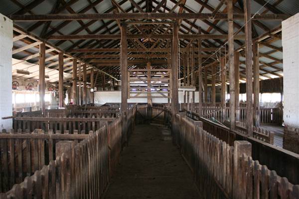Deeargee Woolshed (27/02/2013 7:49:54 PM)