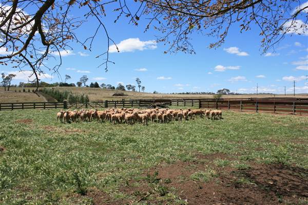 Deeargee Woolshed (27/02/2013 7:50:28 PM)