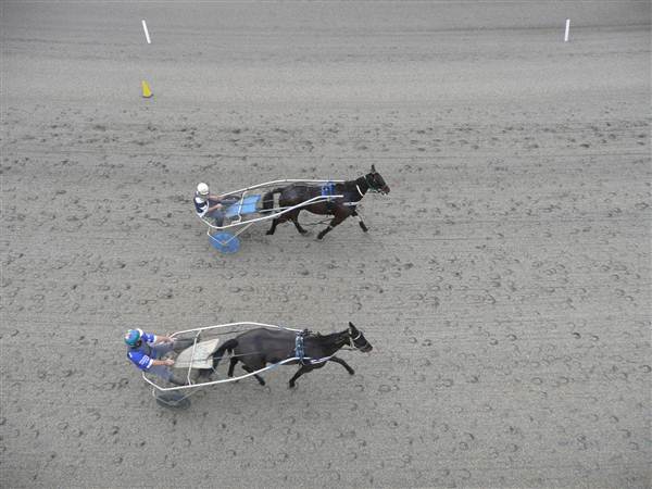 Menangle Park Paceway (28/02/2013 3:41:16 PM)