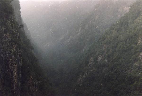 Ellenborough Falls (28/02/2013 4:32:21 PM)