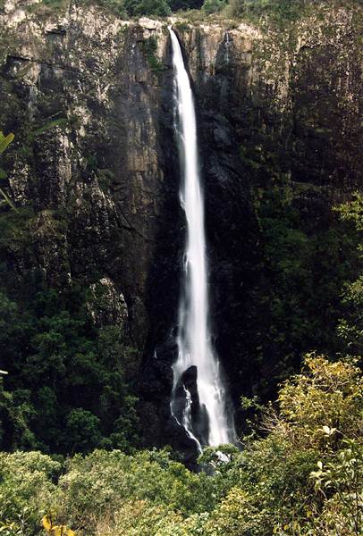 Ellenborough Falls (28/02/2013 4:33:08 PM)